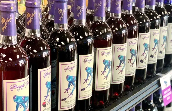 Джерело: Odoo Blog Пляшки вина Purple Toad Winery