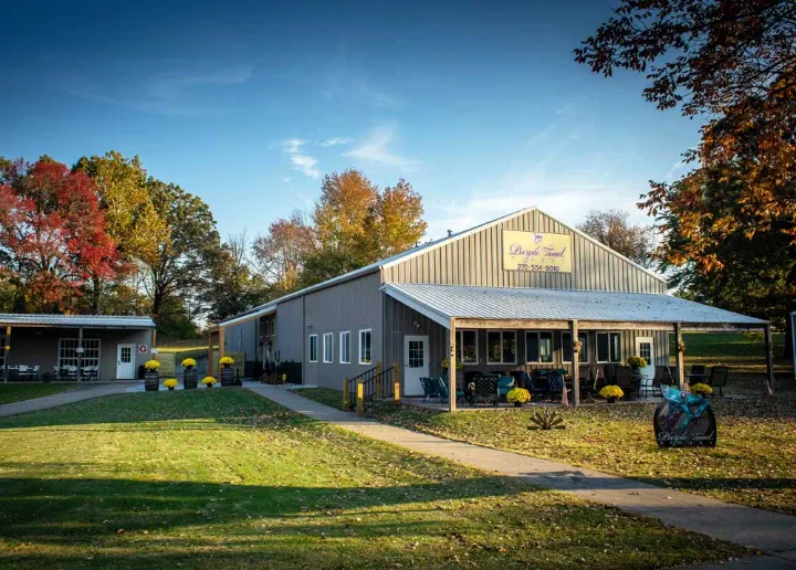 Джерело: Odoo Blog Виноробня Purple Toad Winery